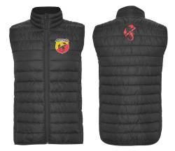 fiat argo tipo vest embroidery chaleco bordado 