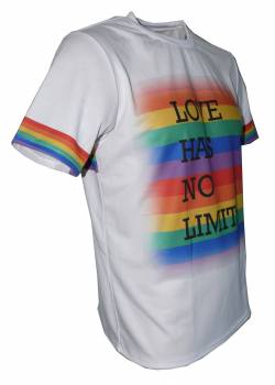 pride love has no limits gay lesbian tshirt 