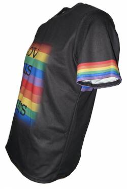 pride el amor no tiene limites gay lesbian camiseta 
